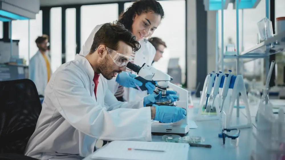 Fundamental Research and University Collaborations